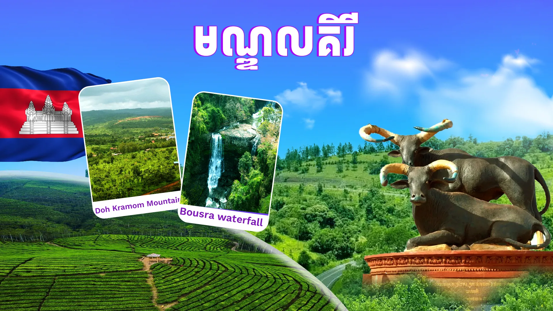Tour Image