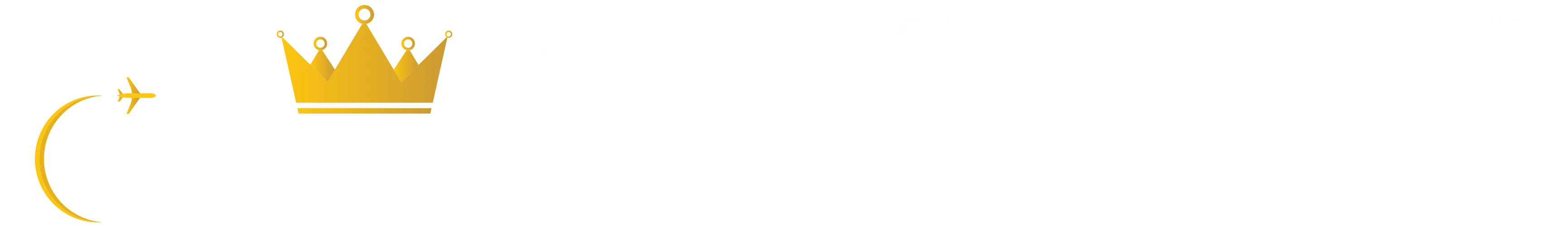 Sky King Tours Logo With Company Name