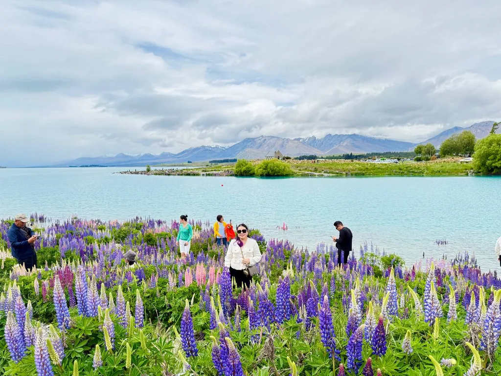 photo_2024-11-14_09-19-27