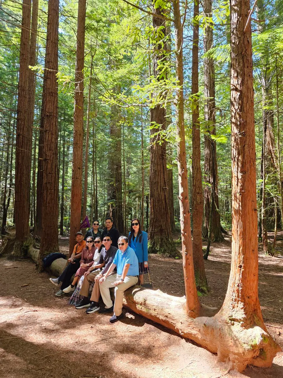 photo_2024-11-18_05-14-08