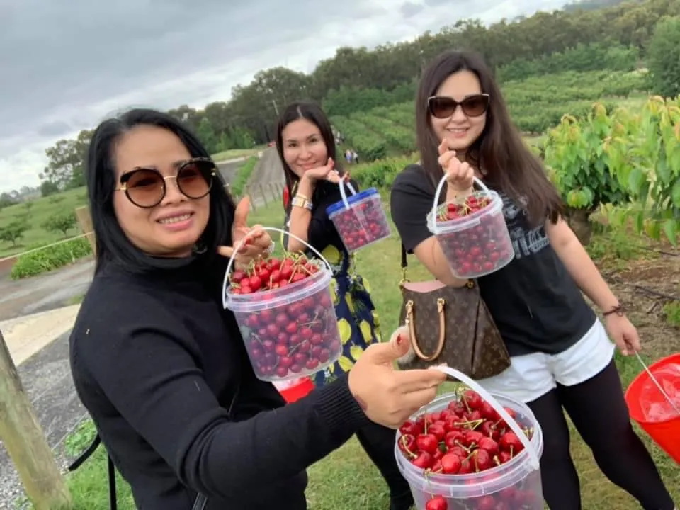 yara fruit picking 1