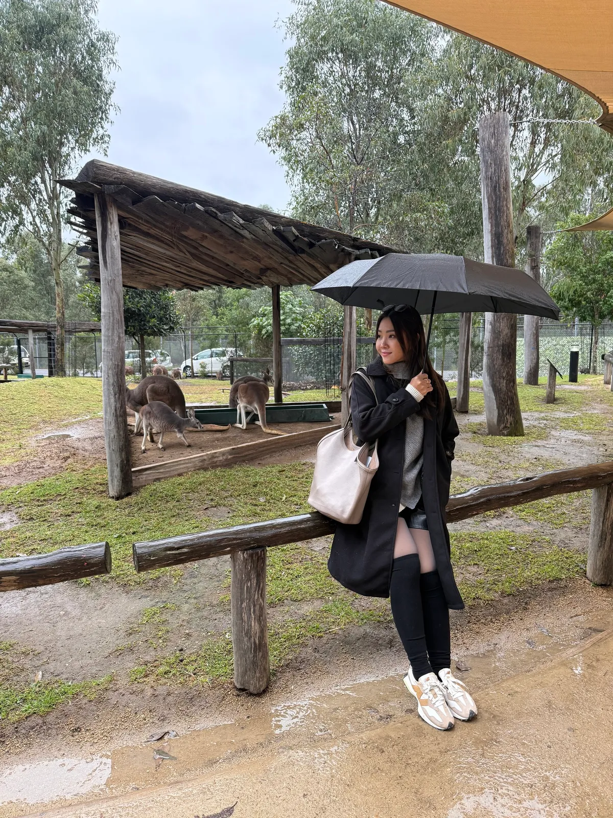 sydney zoo