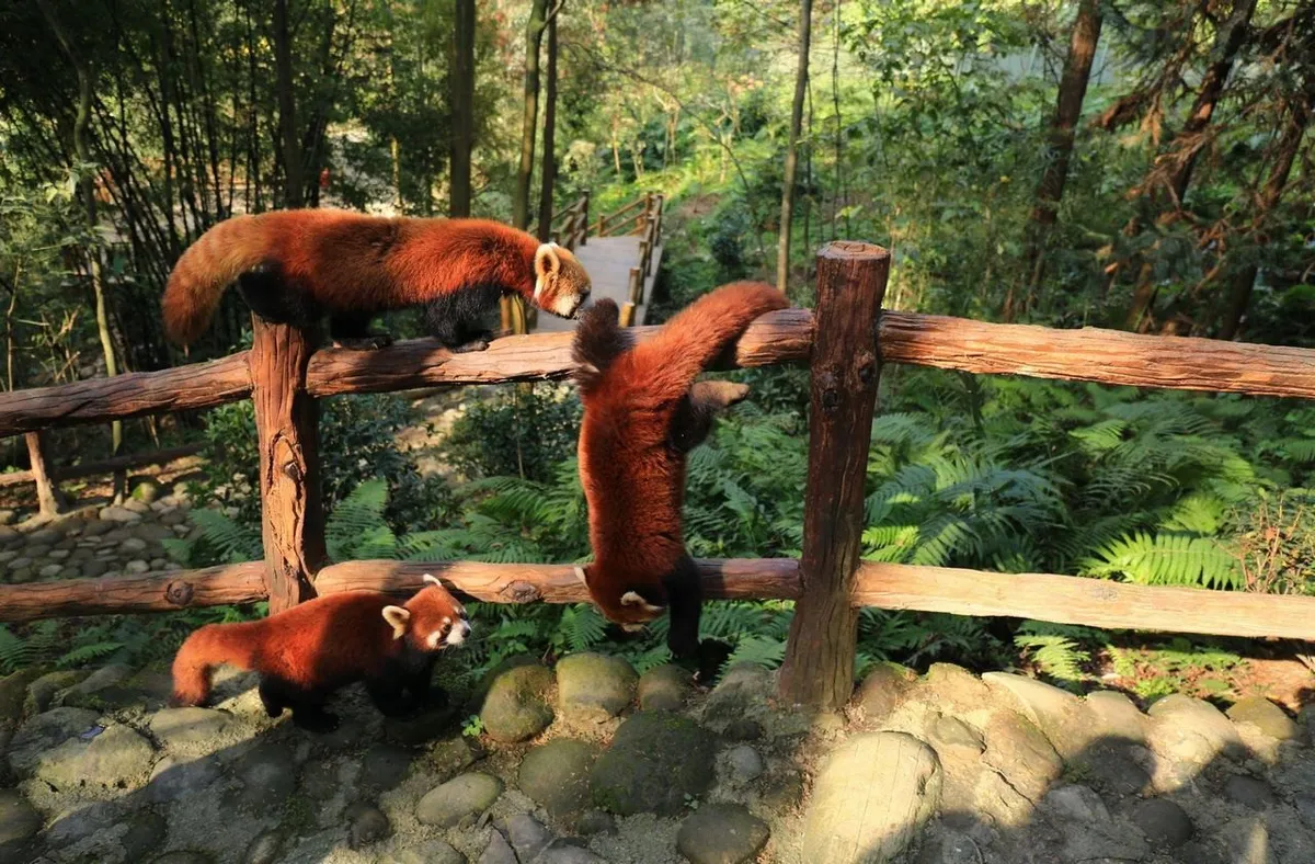 img_62_d20210426111328