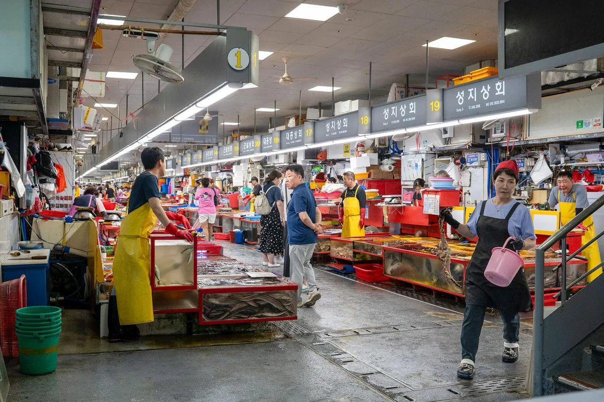 7dq4bfm8r4BrZ0i7jAQjztndECSr-Sol-Ifc7p1soI5ps4C7evwC4wtmSJX2h2nE9Esn_wPXXRDRgq5IXkQRG2Bj86sbafLmb4Ku_CqgS1MTvyv90gUohSOn0Xms7DfGEwltE5aiYNwx1_ZISlTcF6ZXJU5_-Nl8Nw811_Jst7iP4r39W1-DARr5oHR3DJ