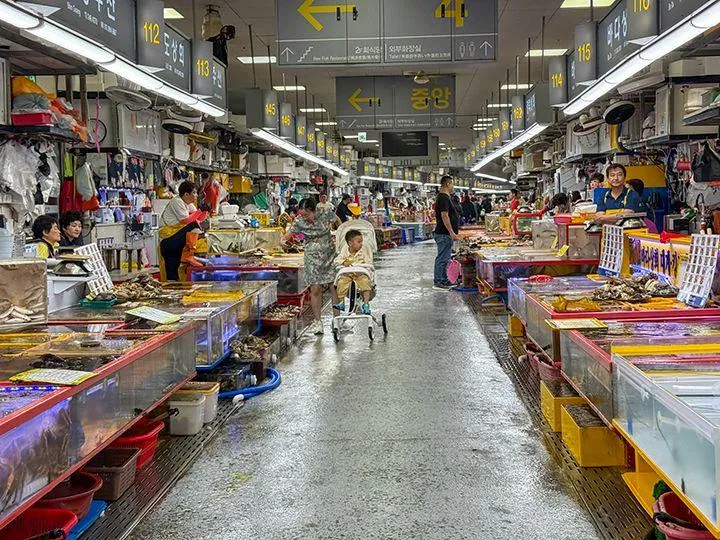 TAX84_8FUQqJyKZSfV0fM5ZYb-uY3Nwb-mu0wFG0a3_NdgiWxz4xBOhIj5_M34nMgzHwSZzAOt8yBJQedWFIIsEX4FfhL-SpXGQTHROBsu55_CTONn9e4VDTHFOMT2uCn9Njt8YeCP3yZfFnaqjDzcGQdYJyYtB2OlXo128LaQp_L8i7QMDnEs5I7ZLuvx