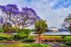 សួនរុក្ខសាស្ត្ររាជ (Royal Botanic Garden)