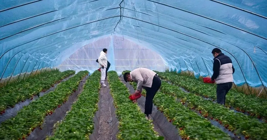 597029044_1240000861509861_1876221952787363206_n