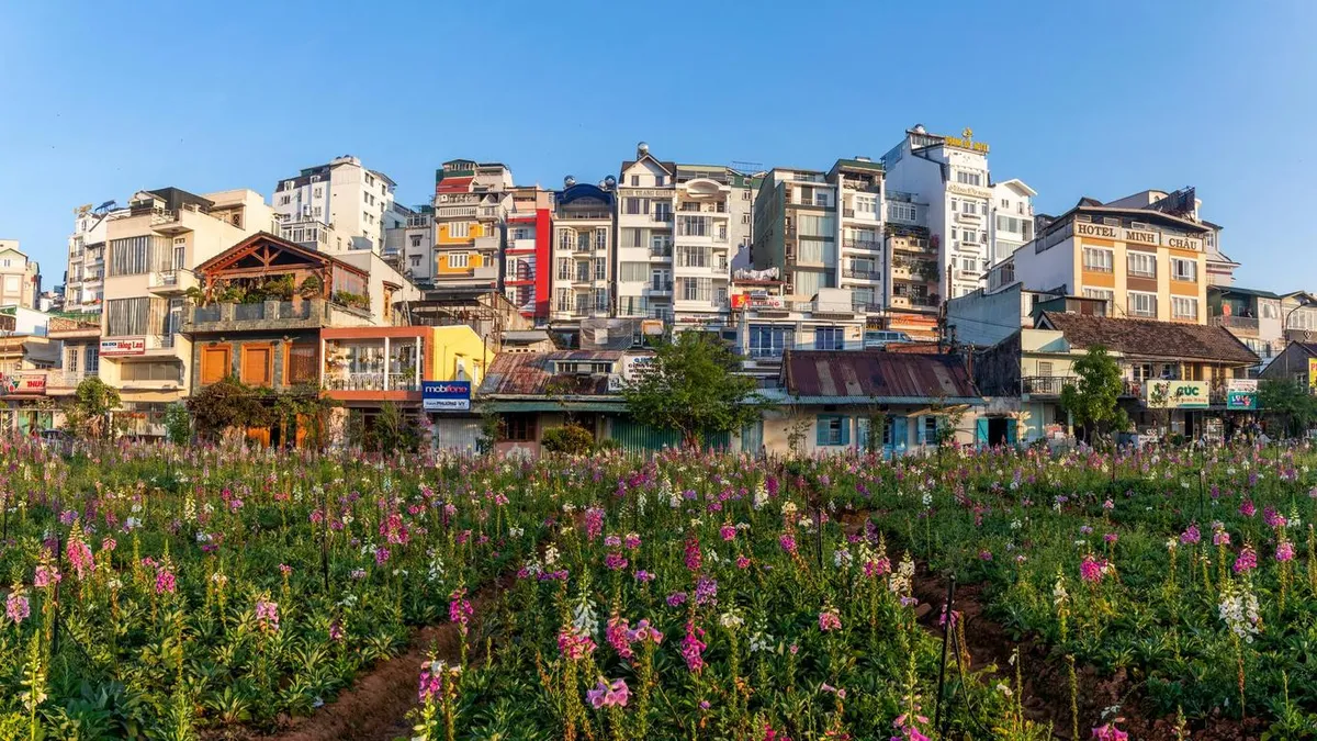 4632fd96-city-42707-17eb1500889