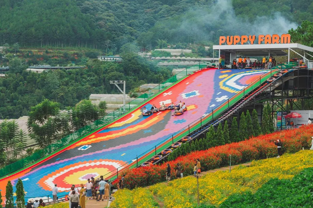 VéThamQuanNôngTrạiCúnPuppyFarmĐàLạt