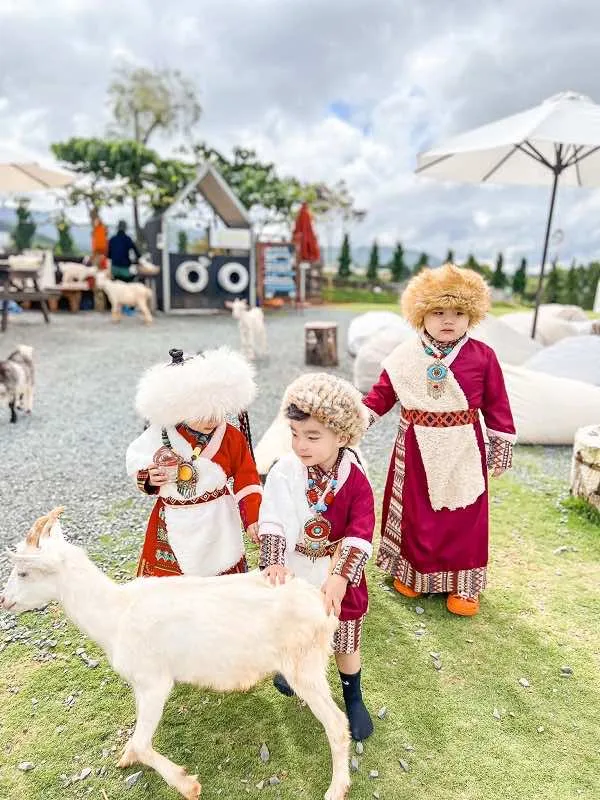 image_2025-03-07_09-17-12