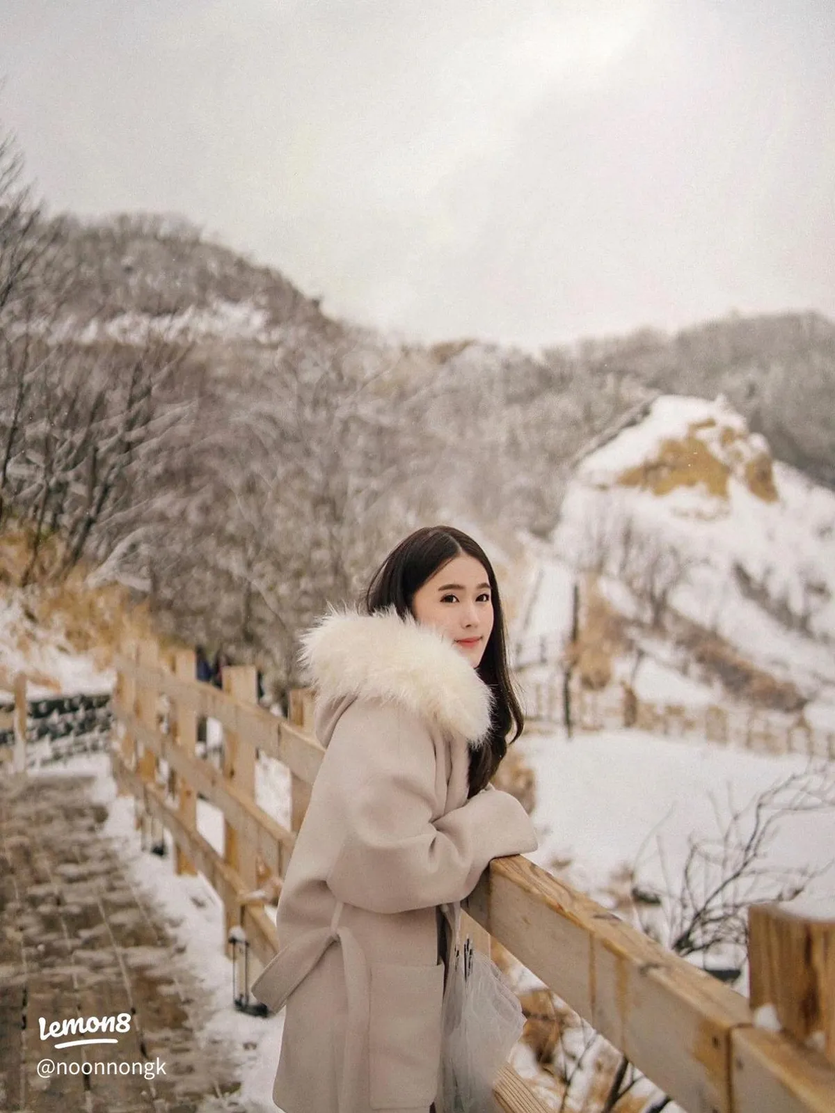 image_2026-01-10_10-12-00