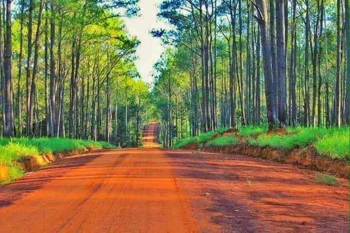 ឧទ្យាន_ជាតិ_គិរីរម្យ_៤