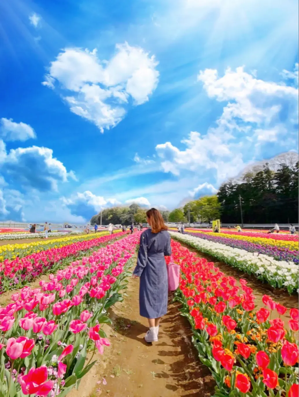 image_2025-01-17_14-51-20