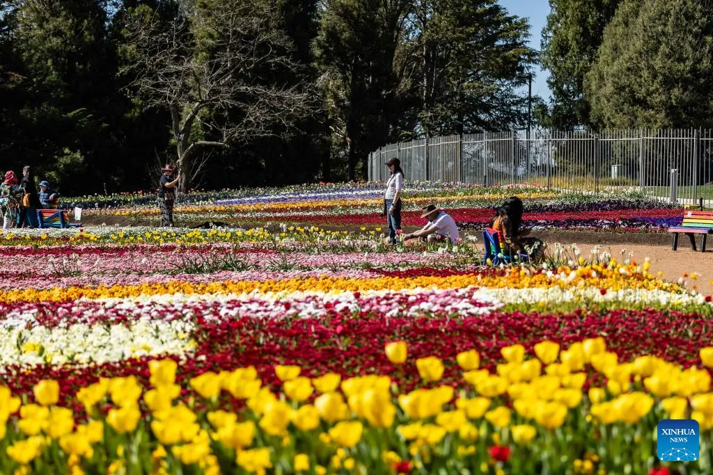common weath park florida