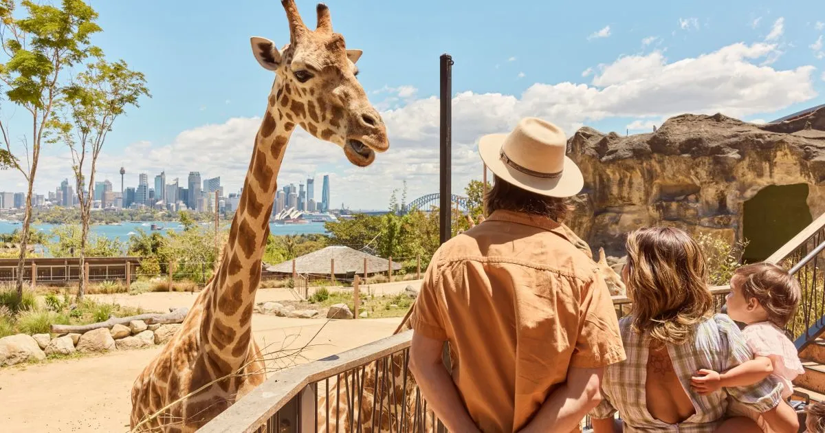 191123_Taronga_Zoo_Mosman_DT