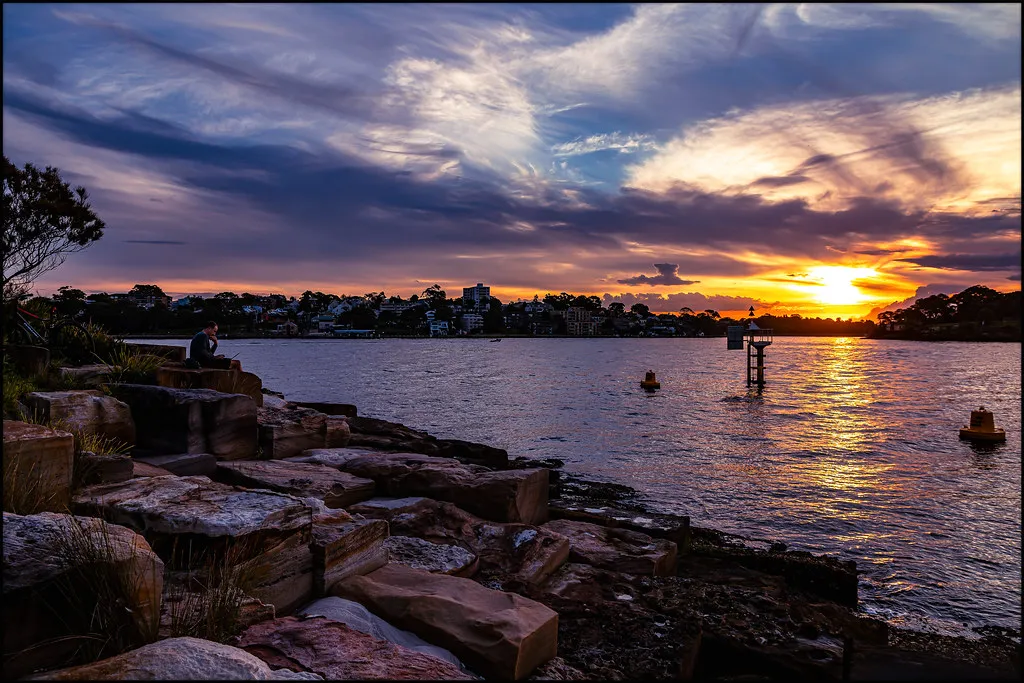 53693522671_002d1f7c60_b