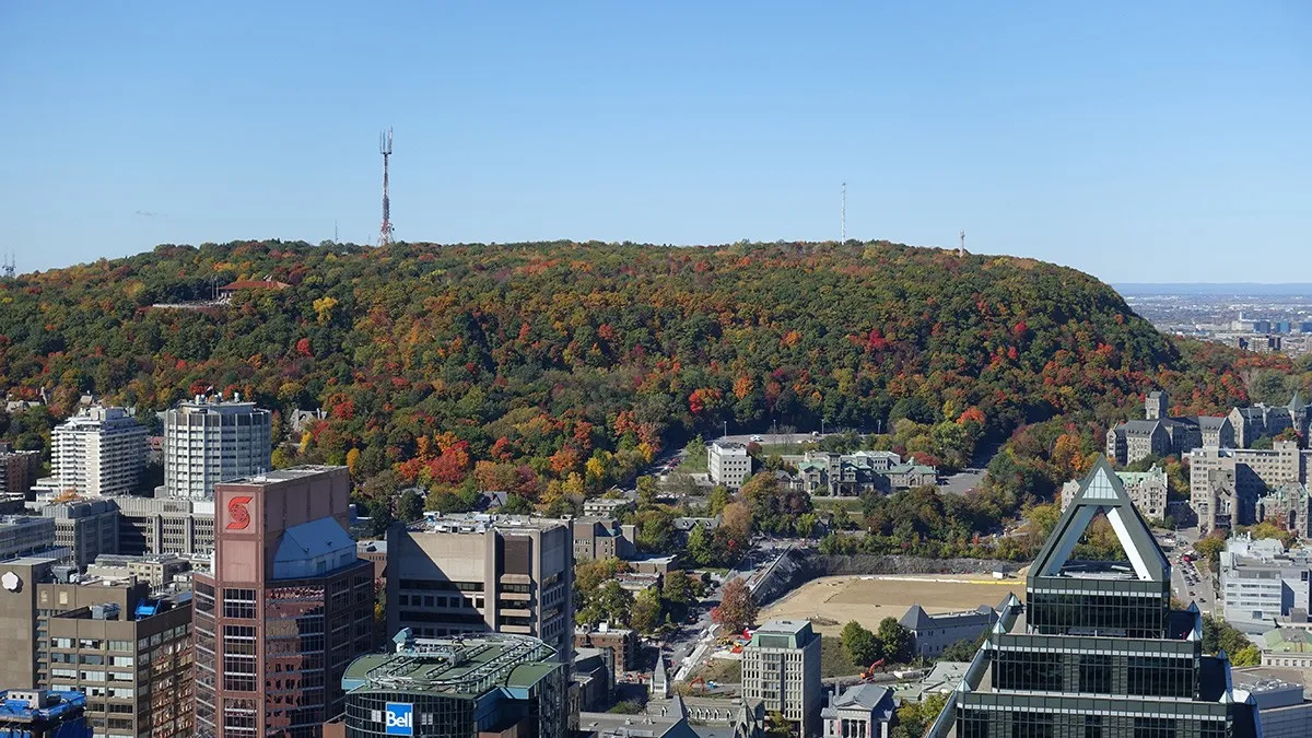 CANADA_Quebec_Montreal_MountRoyal_byGuilhenVellut_2016_001_sig_004