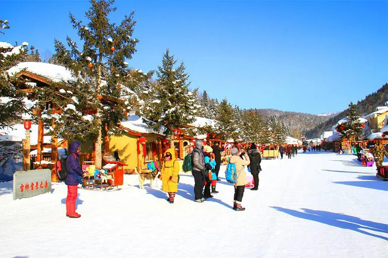 snow-charm-avenue-768