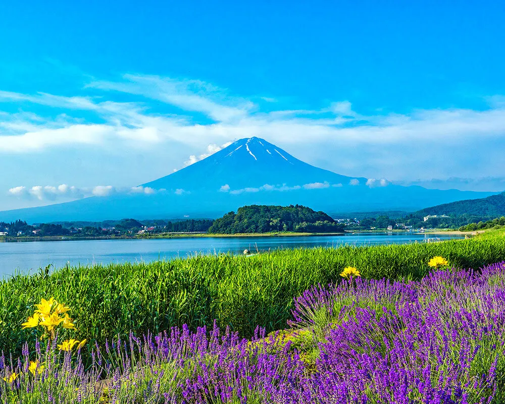 oishi-park-13