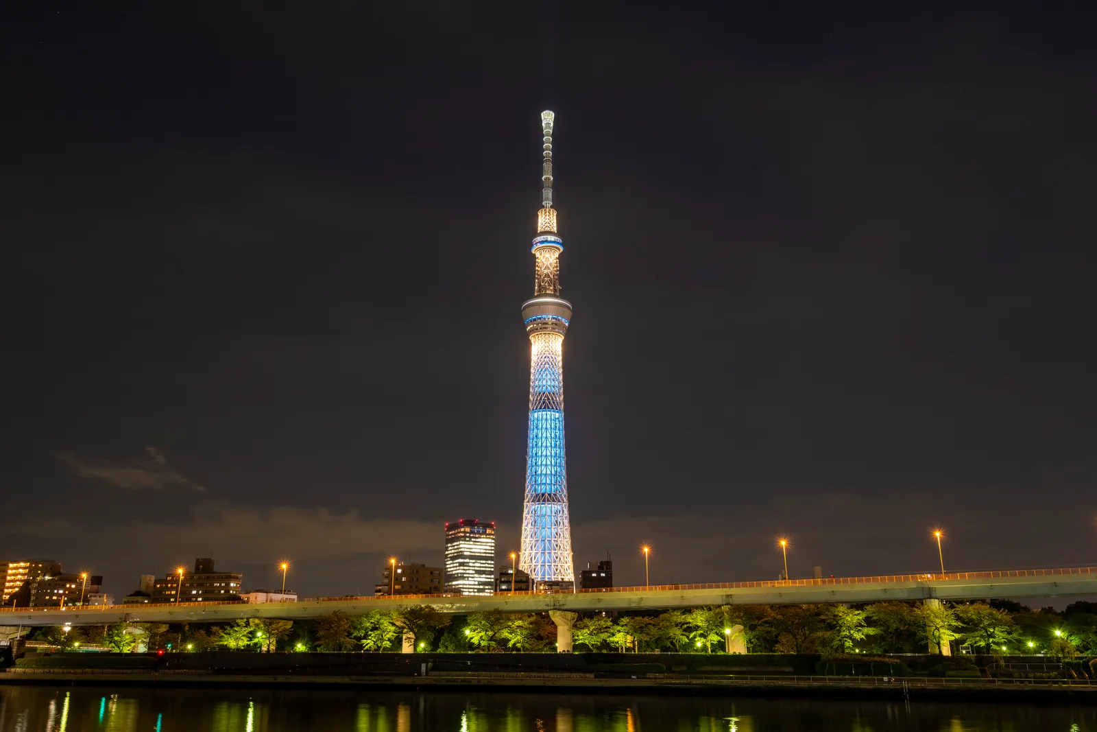 Tokyo Skytree Night