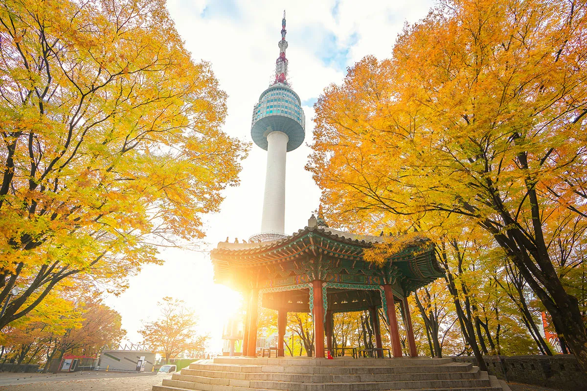 fall_DHL5