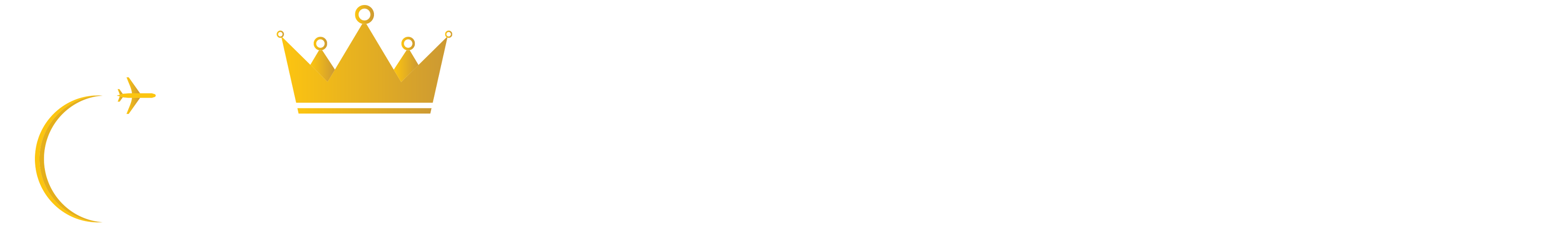 Sky King Tours Logo With Company Name