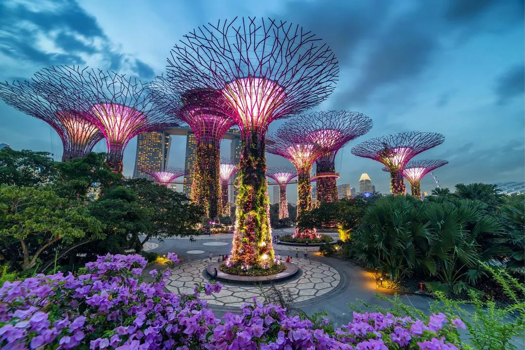 សួនហ្គាដិនបាយដឺបេ (Gardens By The Bay)