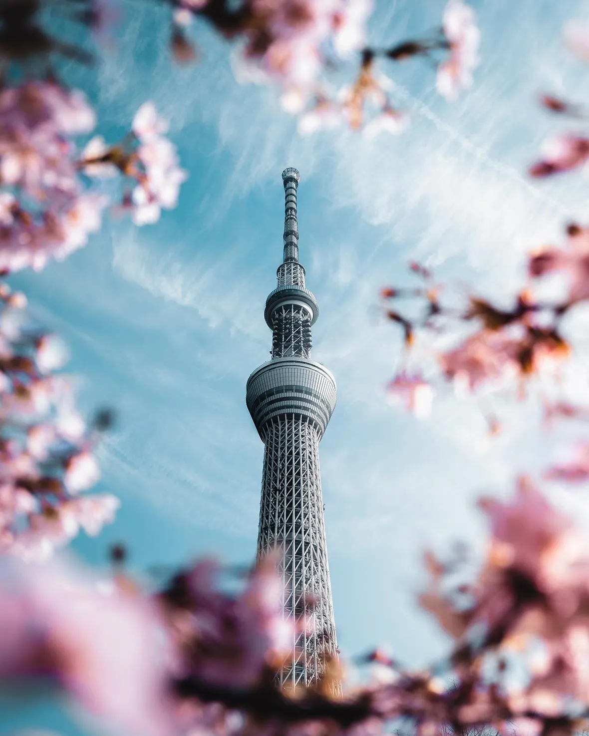 ប៉មតូក្យូ (Tokyo Skytree)