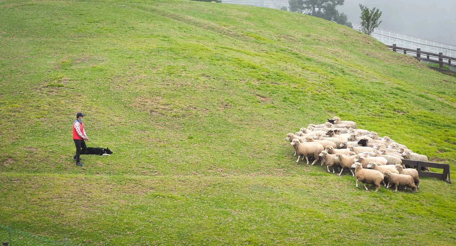 cingjing-farm-nantou-taiwan