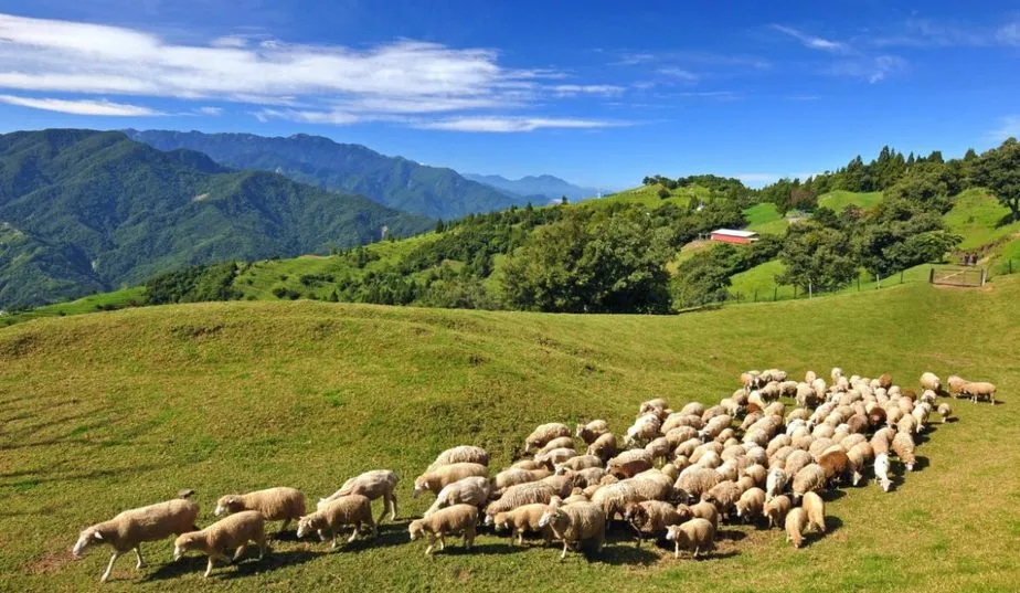 tw_QingJing-Farm-Taiwan-1-1170x680