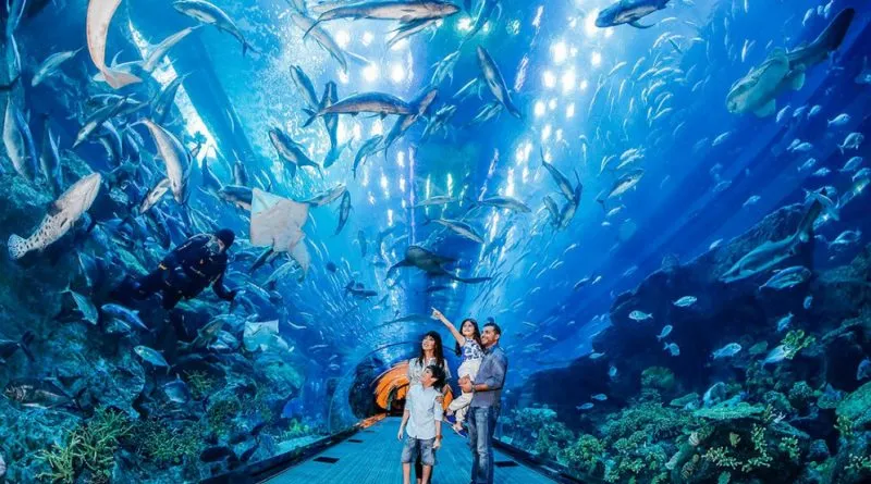 US-Firm-Begins-70m-Aquarium-in-Siem-Reap