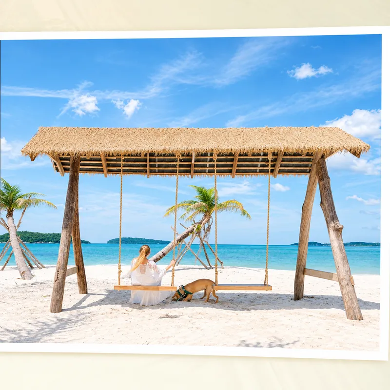 ChatGPT Image Sep 14, 2026, 11_05_04 AM.png