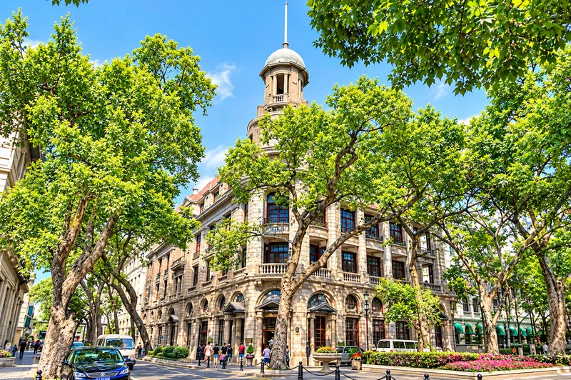 Sunlit Historic Building Under Leafy Trees.png