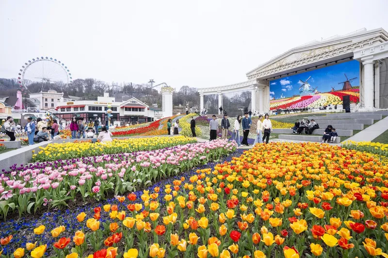 everland 6.jpg