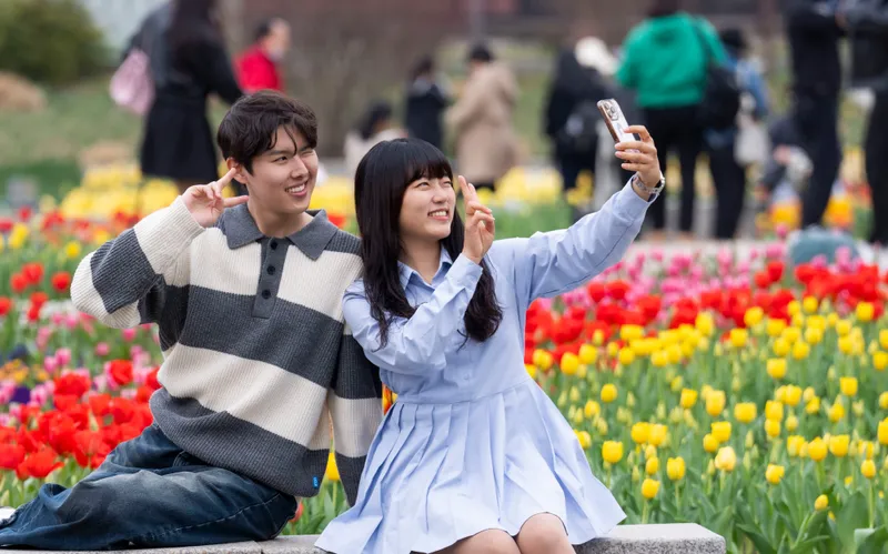everland 5.jpg